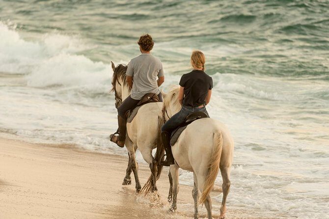Horse Riding on the Beach - In-Depth Review of the Horse Riding on the Beach Experience
