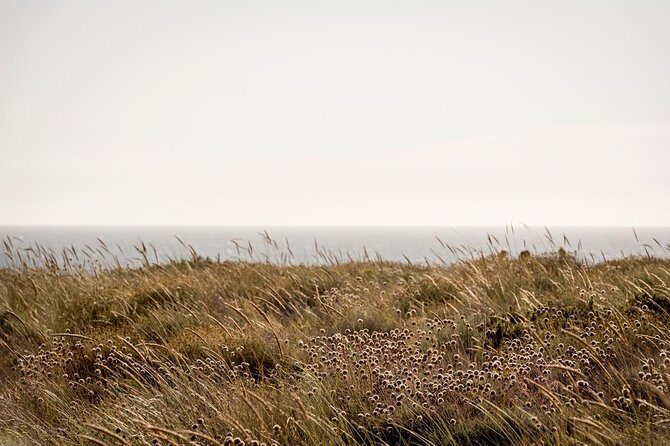 Horse Riding on the Beach - Frequently Asked Questions
