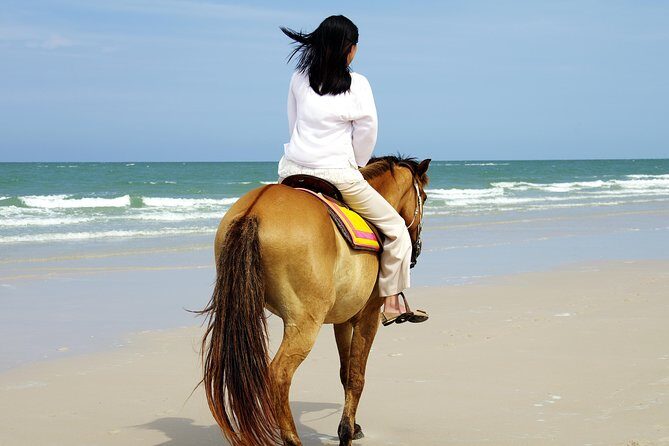 Horse Riding on the Beach in Side - The Experience: What to Expect from Horse Riding in Side