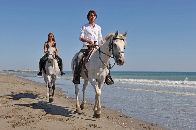 Horse Riding on the Beach in Side - Who Should Consider This Tour?