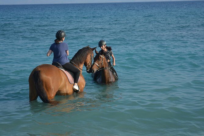 Horse riding on the Beach, Rhodes - Horse Riding on the Beach, Rhodes: A Practical and Authentic Experience