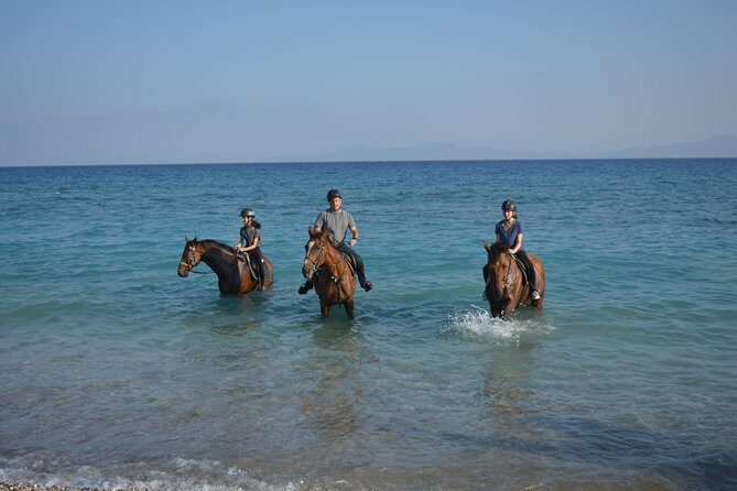 Horse riding on the Beach, Rhodes - Key Points