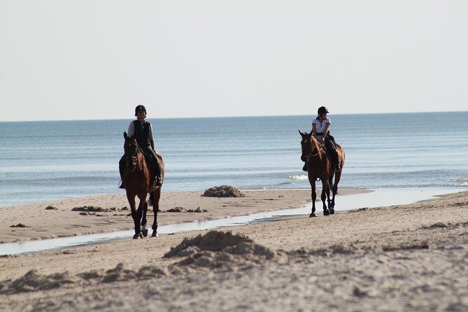 Horse riding on the Beach, Rhodes - FAQs