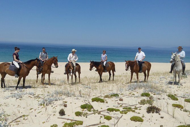 Horse Riding on the Beach Tour - A Detailed Look at the Horse Riding on the Beach Tour