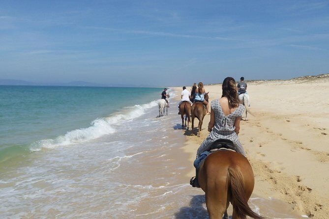Horse Riding on the Beach Tour - Final Thoughts