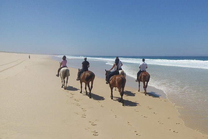 Horse Riding on the Beach Tour - FAQ