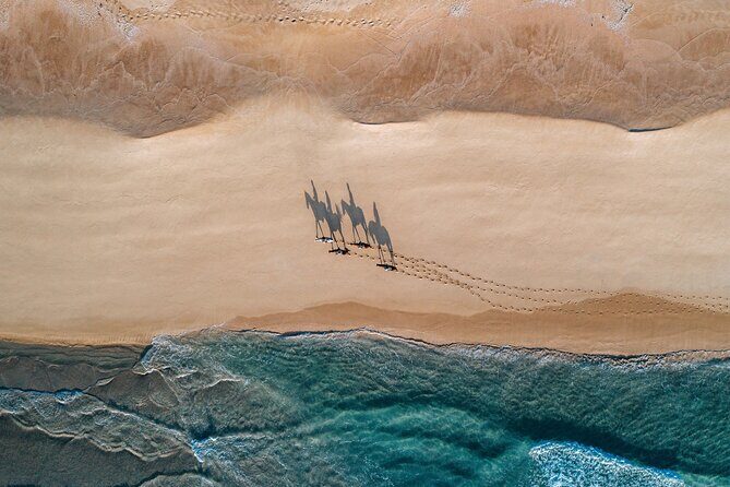 Horse Riding on the Beach with private transfer from Lisbon - Discovering Comporta: An Authentic Portuguese Coastal Treasure
