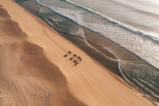 Horse Riding on the Beach with private transfer from Lisbon - Practical Tips for Your Ride