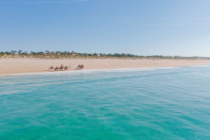 Horse Riding on the Beach with private transfer from Lisbon - The Sum Up: A Quiet Adventure for Authentic Nature Enthusiasts