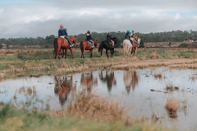 Horse Riding on the Beach with private transfer from Lisbon - FAQ