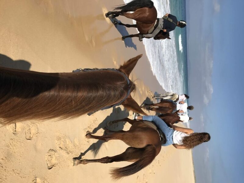 Horse riding on the beach, with private transfer from Lisbon - A Detailed Look at the Horse Riding Experience