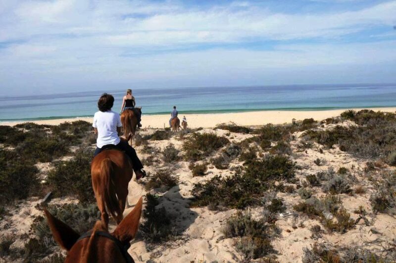 Horse riding on the beach, with private transfer from Lisbon - What Makes This Tour Special?