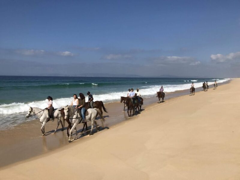 Horse riding on the beach, with private transfer from Lisbon - Is It Worth It?