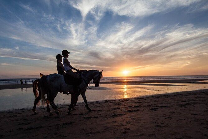 Horse Riding on the Black Sand Beach and Free Hotel Transfers - Horse Riding on the Black Sand Beach and Free Hotel Transfers: A Detailed Review