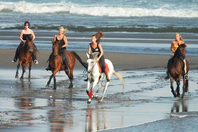 Horse Riding on the Black Sand Beach and Free Hotel Transfers - Key Points