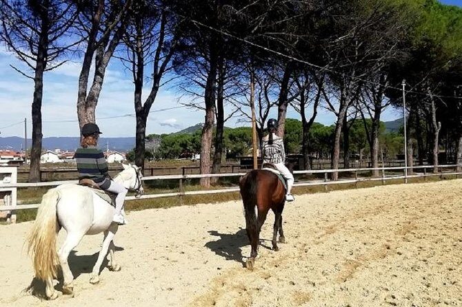 Horse Riding Small Group near Lucca - Key Points
