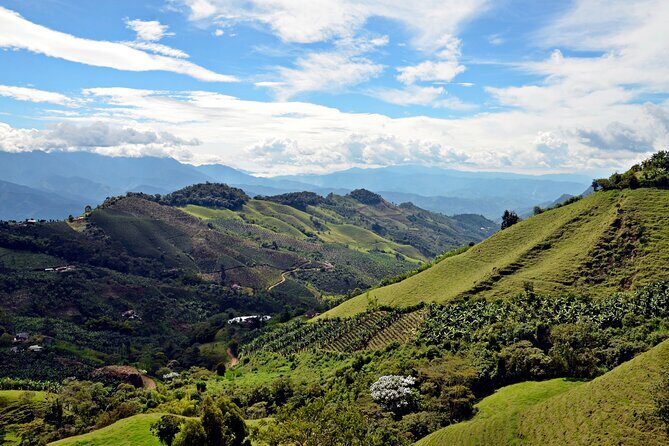 Horse riding tour - Why Choose This Tour?