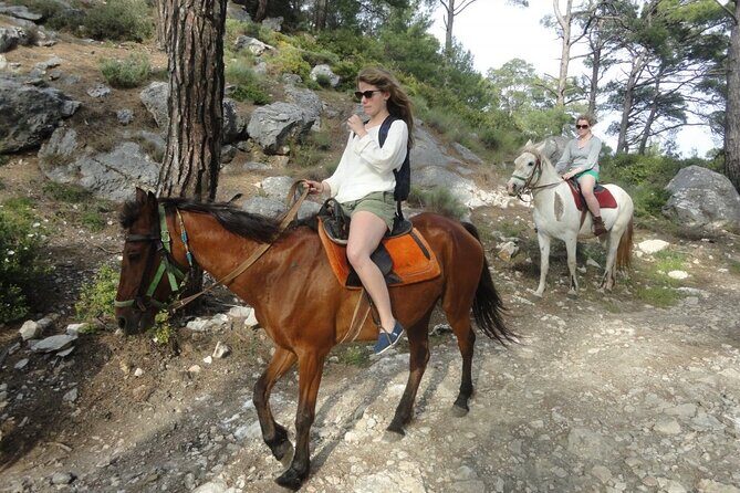 Horse Riding Tour in Bodrum with Hotel Pick Up - Who Will Love This Tour?
