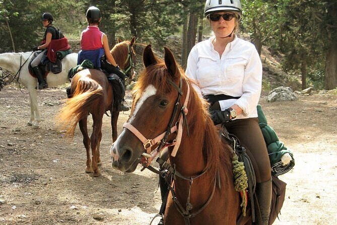 Horse Riding Tour in Bodrum with Hotel Pick Up - FAQ