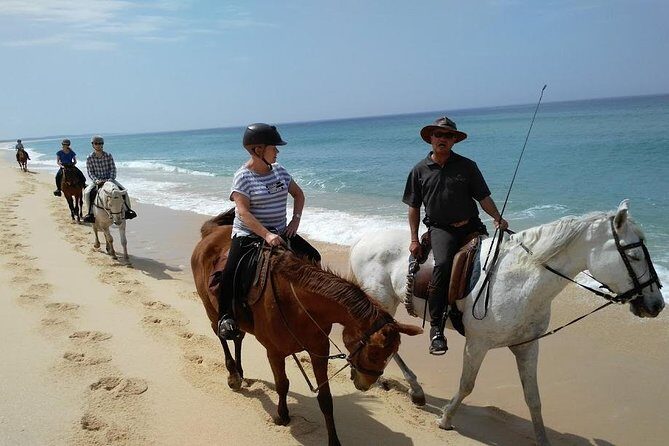 Horse Riding Tour on the Beach Lisbon region - The Itinerary: From Lisbon to Coastal Serenity