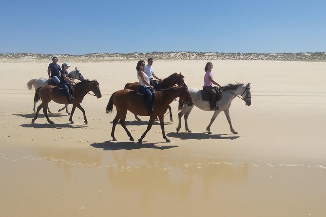 Horse Riding Tour on the Beach Lisbon region - Practical Tips for Travelers