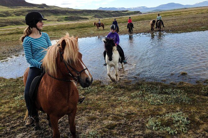 Horse Riding Tour to the Glacier River Delta with Waterfall - A Detailed Look at the Icelandic Horseback Riding Experience