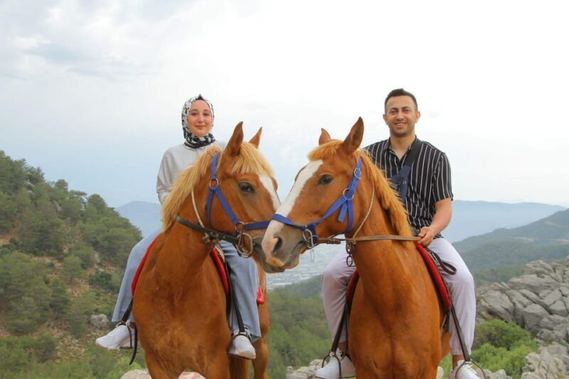 Horse Safari - Final Thoughts