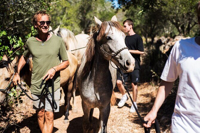 Horse Sanctuary: A nature walk with Rescued Horses by your side - Key Points