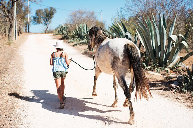 Horse Sanctuary: A nature walk with Rescued Horses by your side - FAQ