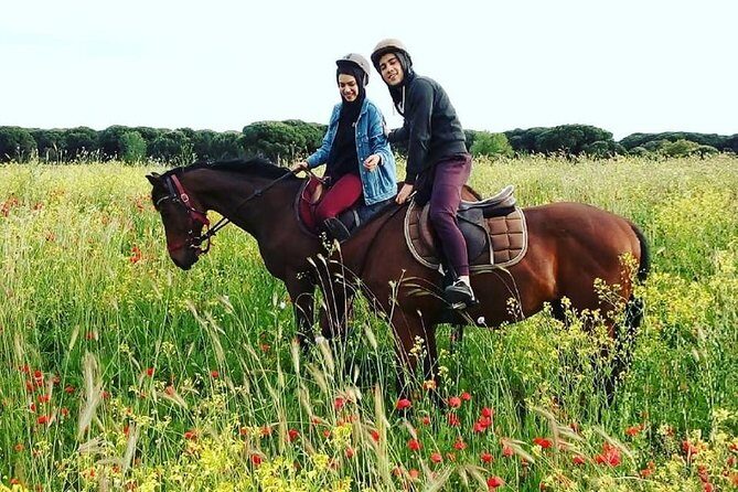 Horse Sanctuary & Trail Ride - What’s Included and What You Should Expect