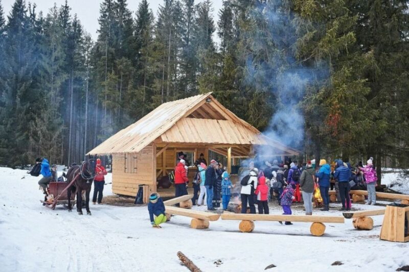 Horse Sleigh 2-3h Ride with Hot Springs or Zakopane Combos - Key Points