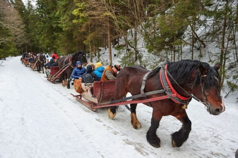 Horse Sleigh 2-3h Ride with Hot Springs or Zakopane Combos - Exploring the Zakopane Experience in Depth