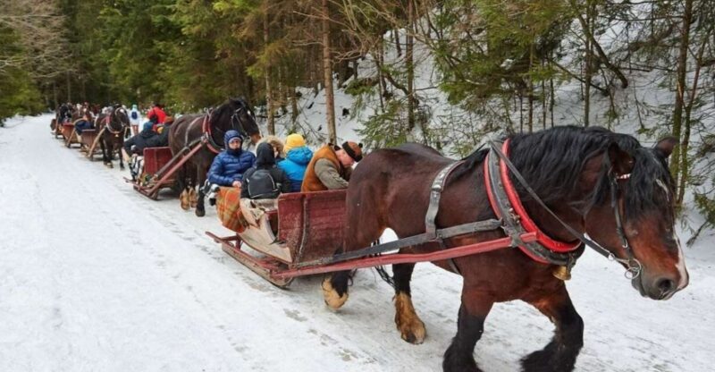 Horse Sleigh 2-3h Ride with Hot Springs or Zakopane Combos - Who It’s Best For