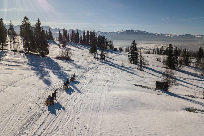 Horse Sleigh Ride in the Polish Countryside, private tour from Krakow - Key Points