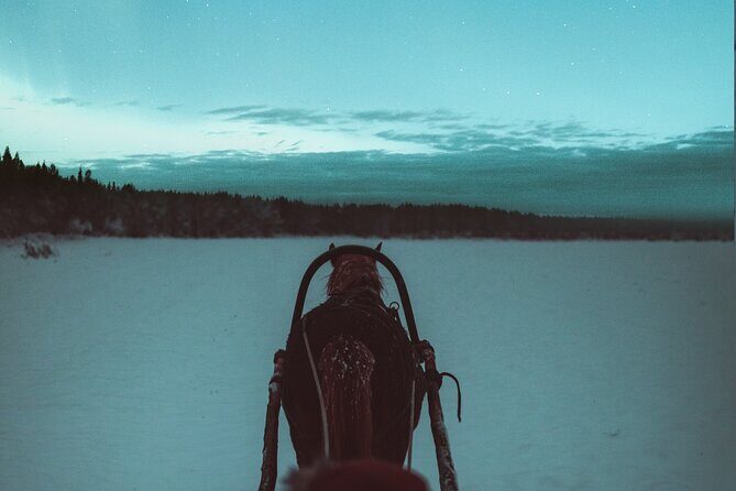 Horse Sleigh Ride Under The Night Sky in Apukka Resort, Rovaniemi - A Detailed Look at the Experience