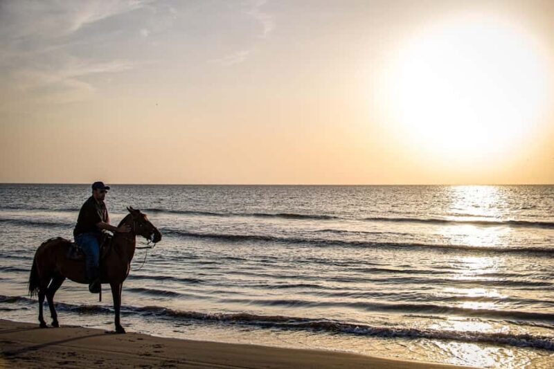 HORSE TOUR IN CARTAGENA BEACH - Practical Details: Transportation, Duration, and Price