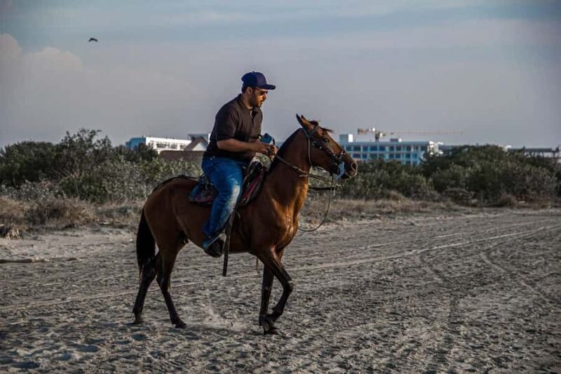 HORSE TOUR IN CARTAGENA BEACH - The Sum Up