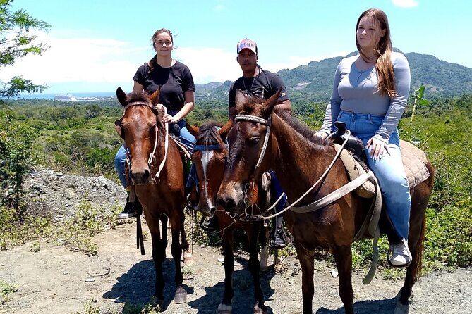 Horse Tours on the Beach and Mountains in Puerto Plata - A Closer Look at the Horse Tours Experience