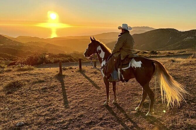 Horse Trail Overlook Group Ride on Catalina Island - Key Points