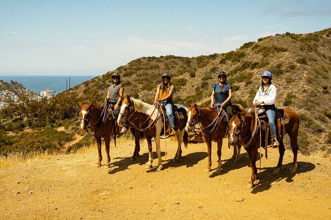 Horse Trail Overlook Group Ride on Catalina Island - Final Thoughts: The Value Proposition
