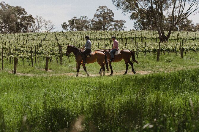 Horse Trail Ride and Wine Tasting at Adelaide Hills Winery - An In-Depth Look at the Horse Trail Ride and Wine Tasting Experience