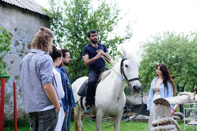 Horseback Adventure in Armenias Highland Pastures - An In-Depth Look at the Experience