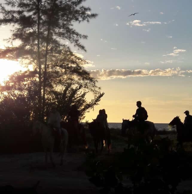 Horseback Adventure in Holbox - Key Points