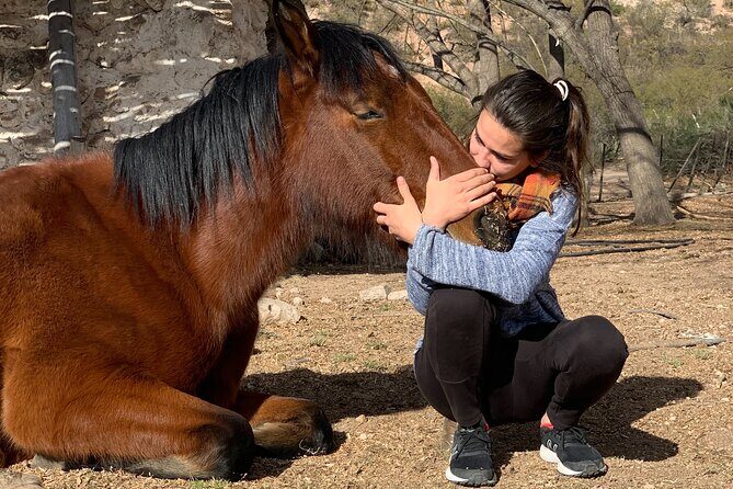 Horseback expedition to The Andes, 2 days. Sleep in the heart of the mountain. - Why This Experience Is Worth It