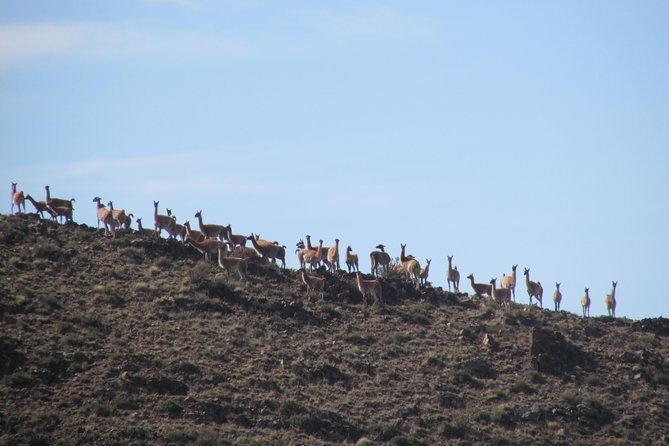 Horseback expedition to The Andes, 3 days - The Details: What to Expect from This Andes Horseback Tour