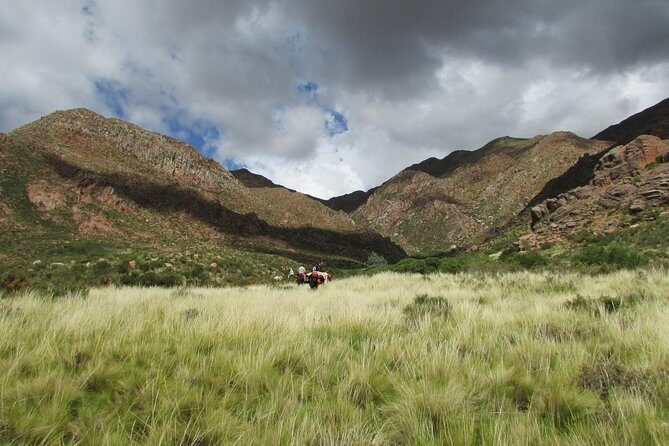 Horseback expedition to The Andes, 3 days - Who Should Book This Tour?