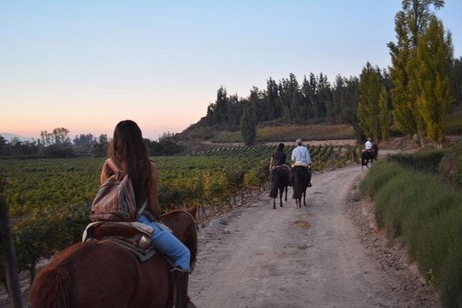 Horseback Private Wine Tour and Country Grill from Santiago - What Travelers Love About This Tour