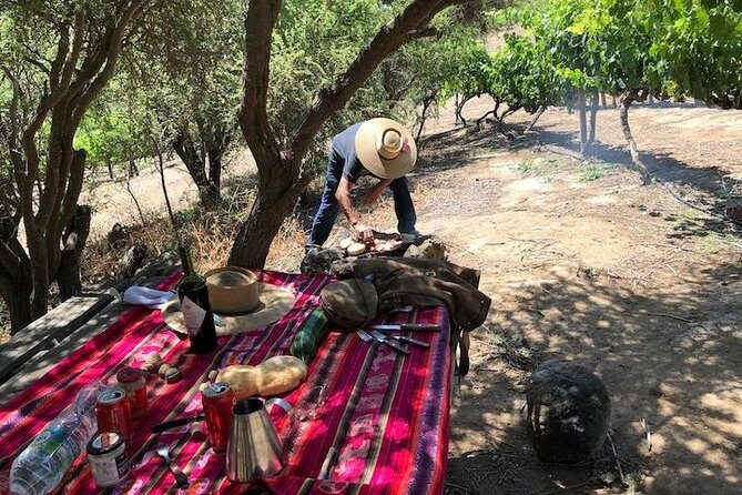 Horseback Private Wine Tour and Country Grill from Santiago - Final Thoughts