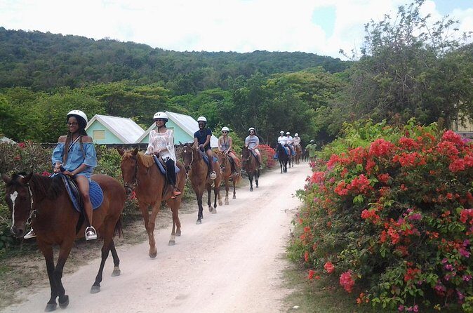 Horseback Ride Adventure from Ocho Rios - In-Depth Review of the Horseback Ride Adventure