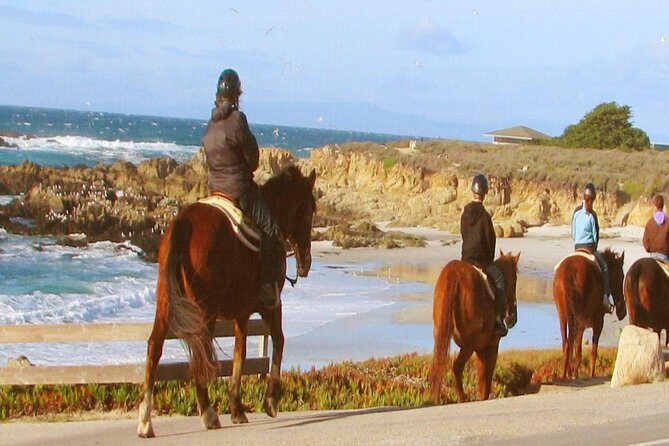 Horseback Ride & Alcatraz Prison Tickets - A Closer Look at the Experience